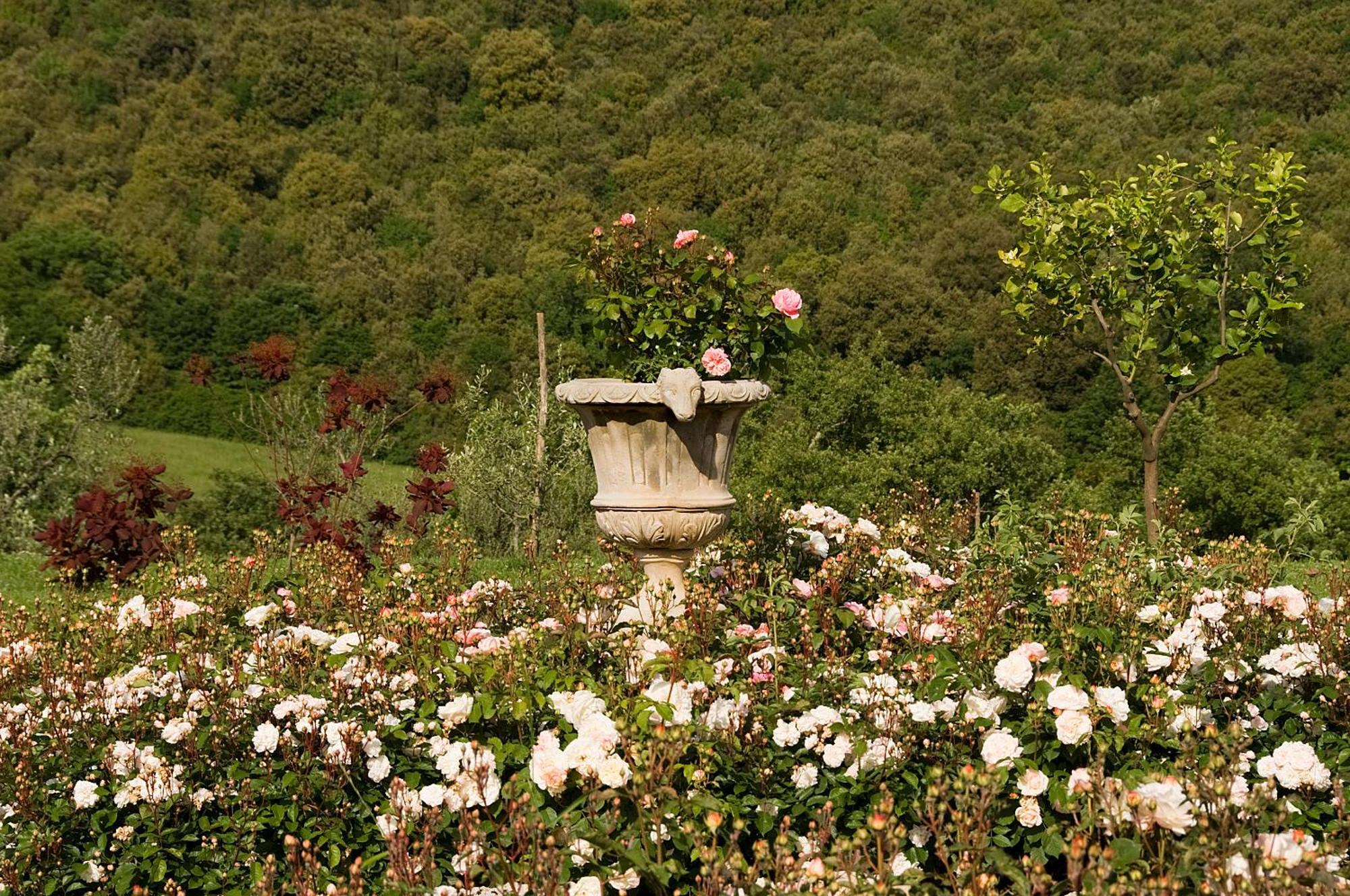 Tenuta Del Gallo อเมเลีย ภายนอก รูปภาพ