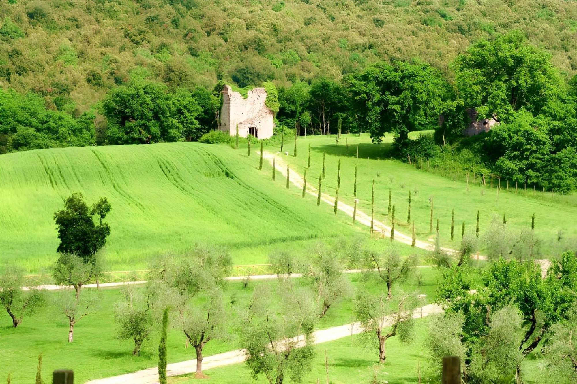 Tenuta Del Gallo อเมเลีย ภายนอก รูปภาพ