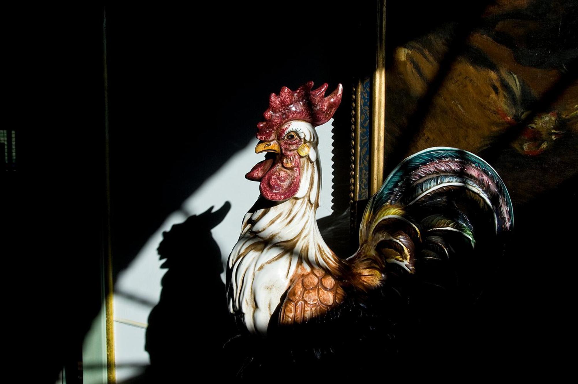 Tenuta Del Gallo อเมเลีย ภายนอก รูปภาพ